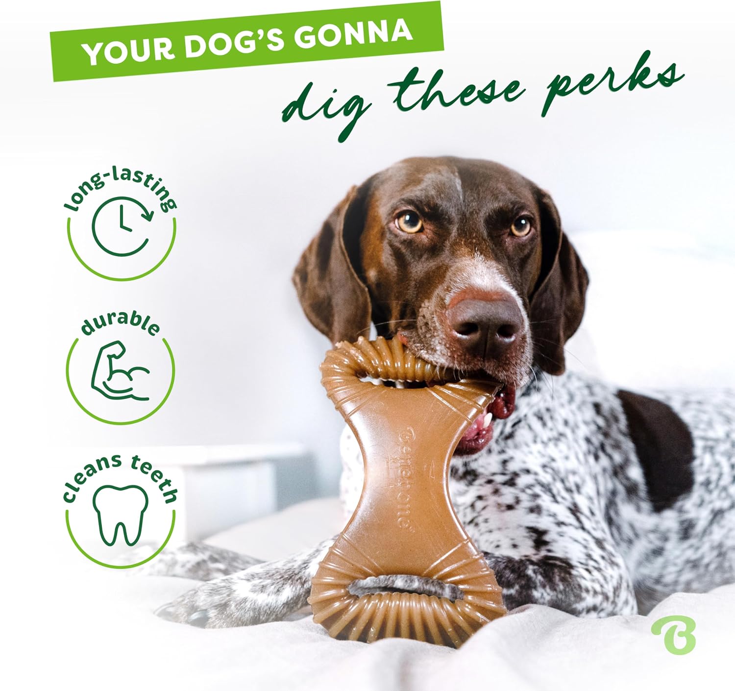 Benebone Dental Dog Chew Toy for Aggressive Chewers, Real Bacon, Medium | Durable, Super Chewer, Made in USA, Dog Bones, Long-Lasting, A Size for Every Dog, Keeps Them Busy - Image 3