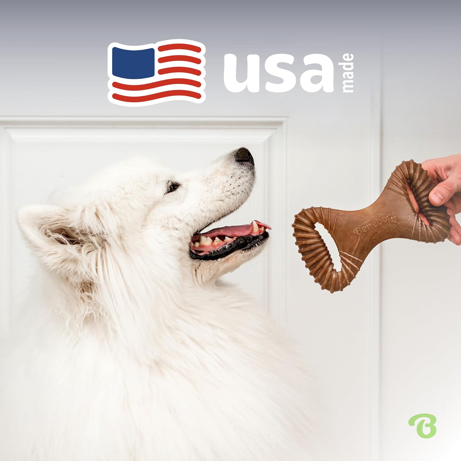 Benebone Dental Dog Chew Toy for Aggressive Chewers, Real Bacon, Medium | Durable, Super Chewer, Made in USA, Dog Bones, Long-Lasting, A Size for Every Dog, Keeps Them Busy - Image 5