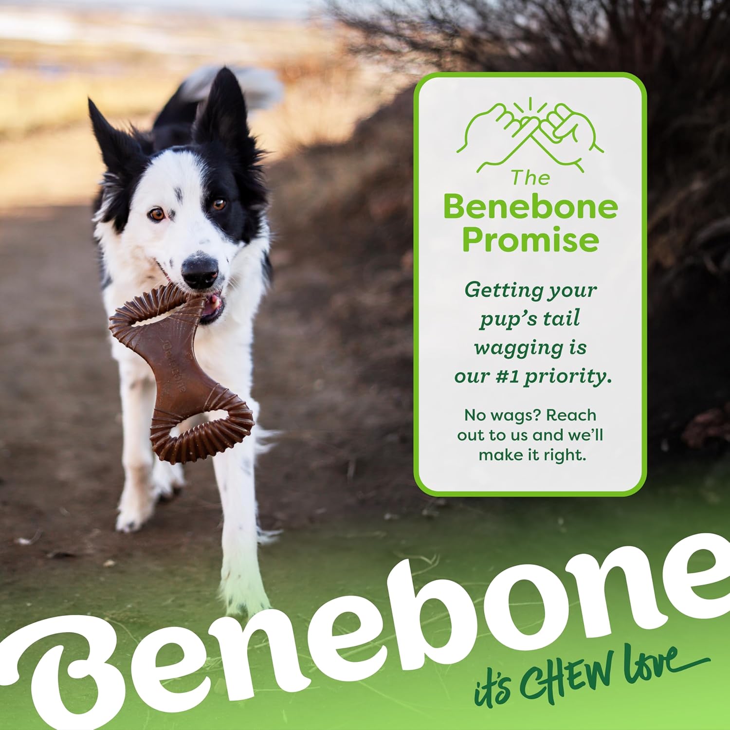 Benebone Dental Dog Chew Toy for Aggressive Chewers, Real Bacon, Medium | Durable, Super Chewer, Made in USA, Dog Bones, Long-Lasting, A Size for Every Dog, Keeps Them Busy - Image 6